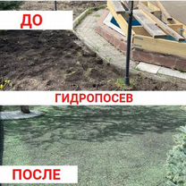 Подготовка газона/посев газона/ландшафтный дизайн